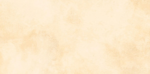 TWU09RCD004 плитка облицовочная Richard 249*500
