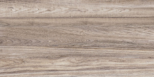 TWU09DBL404 плитка облицовочная Дублин / Dublin 249*500 (12 шт в уп/80.676 м в пал)